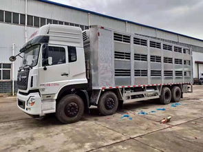 武漢畜禽運輸車保障畜牧產業平穩運行，專用車輛規范上路